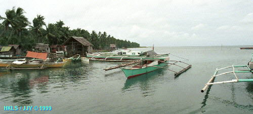 Homonhon Island